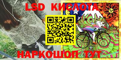 ПСИЛОЦИБИНОВЫЕ ГРИБЫ Новокубанск