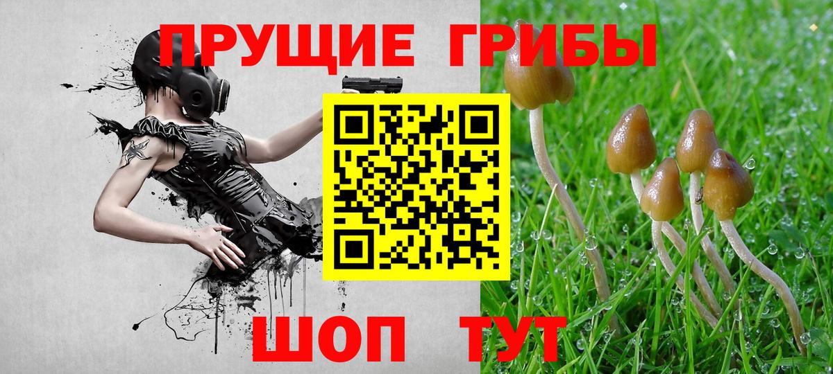 Ступино  Галлюциногенные грибы GOLDEN TEACHER  Вход с VPN 